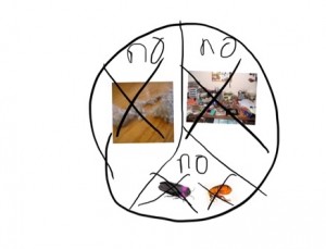 Figure 2. Example of Students Using a Combination of Photos and Drawings